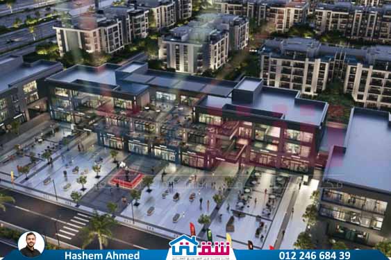 WhatsApp Image 2025-06-11 at 3.55.27 PM (3)