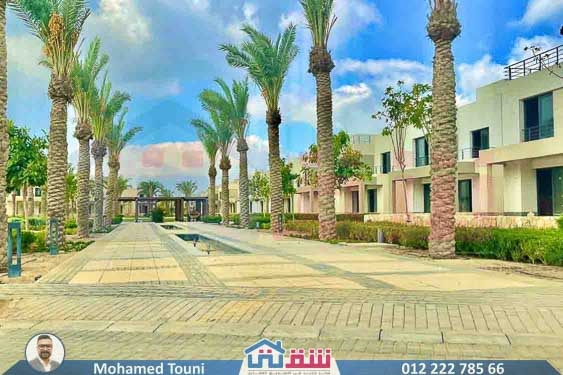 WhatsApp Image 2025-06-11 at 4.51.11 PM (1)