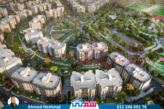 WhatsApp Image 2025-06-29 at 12.48.42 AM (1)