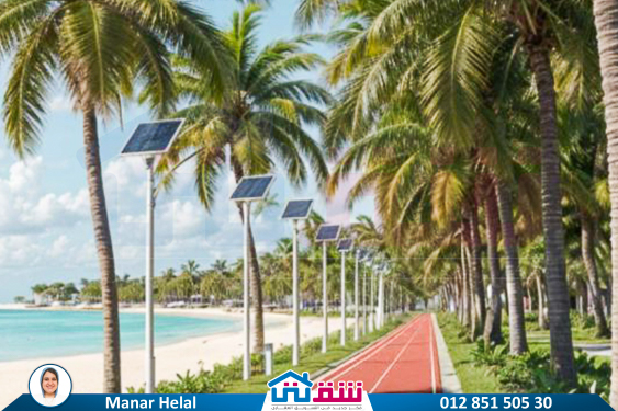 WhatsApp Image 2025-07-02 at 12.17.42 PM (1)-2