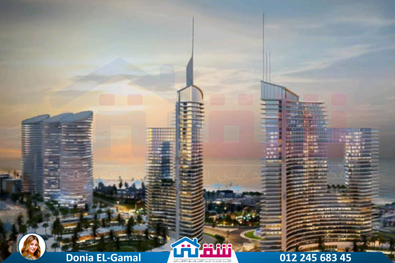 WhatsApp Image 2025-07-02 at 2.04.46 PM-2