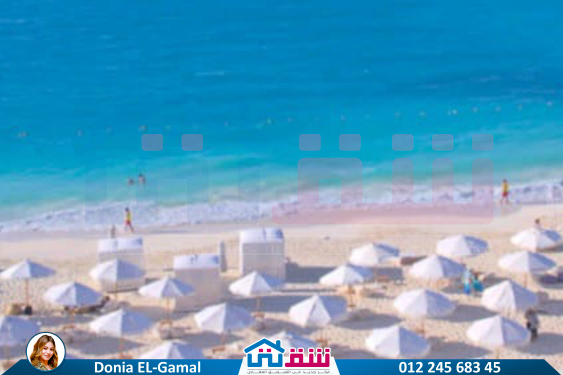 WhatsApp Image 2025-07-02 at 2.04.47 PM-2