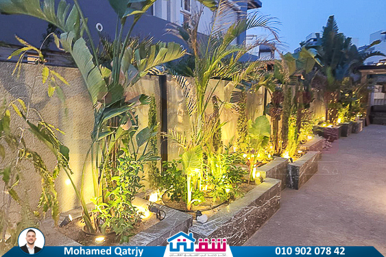 WhatsApp Image 2025-07-05 at 4.27.24 PM (1)