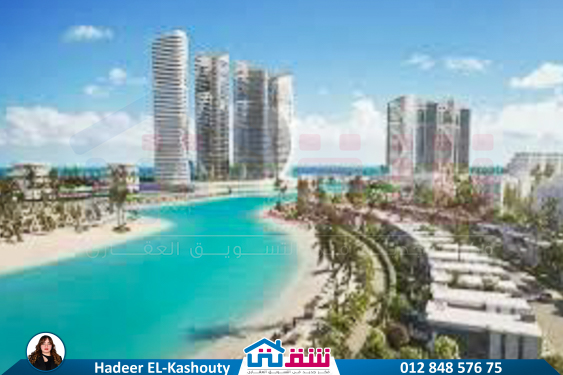 WhatsApp Image 2025-07-06 at 3.34.55 PM (1)