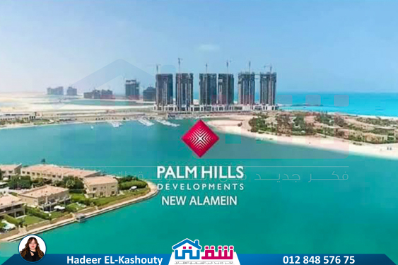 WhatsApp Image 2025-07-06 at 3.34.56 PM (1)