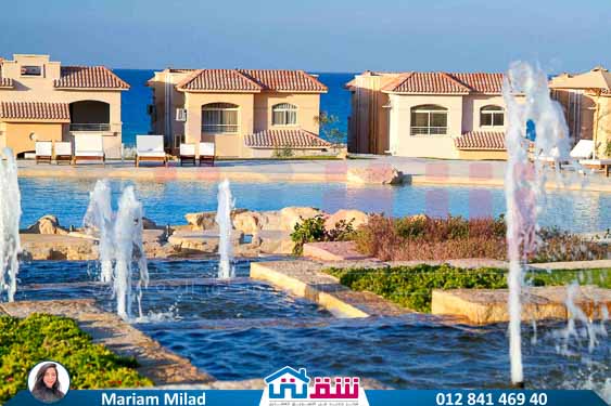 WhatsApp Image 2025-07-12 at 12.18.44 PM (3)