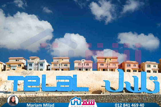 WhatsApp Image 2025-07-12 at 12.18.47 PM