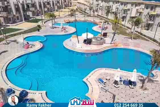 WhatsApp Image 2025-07-14 at 2.00.34 PM (1)