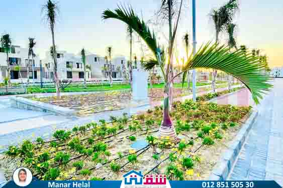 WhatsApp Image 2025-07-14 at 5.18.44 PM (1)