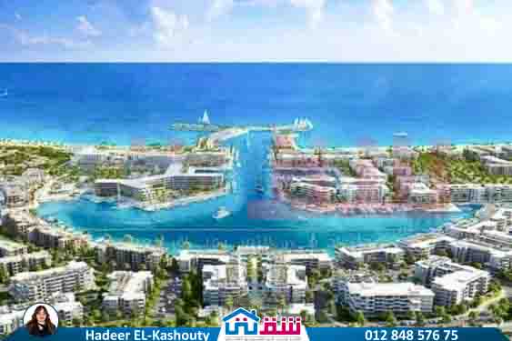 WhatsApp Image 2025-07-15 at 4.59.20 PM