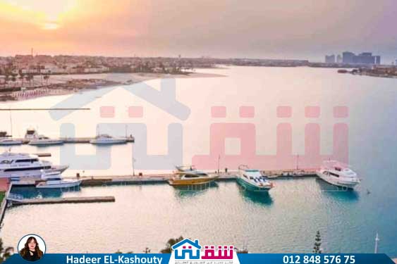 WhatsApp Image 2025-07-15 at 4.59.23 PM