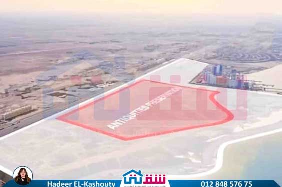 WhatsApp Image 2025-07-15 at 4.59.24 PM