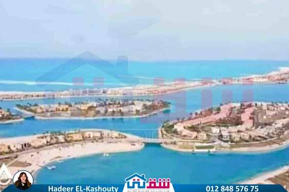 WhatsApp Image 2025-07-15 at 4.59.27 PM