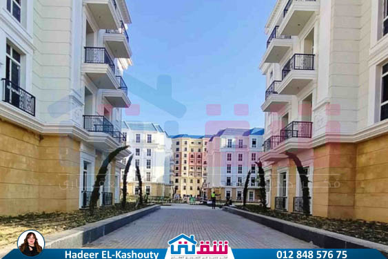 WhatsApp Image 2025-07-16 at 1.46.26 PM