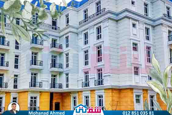 WhatsApp Image 2025-07-16 at 14.22.48_1846d01e