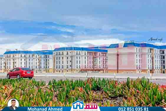 WhatsApp Image 2025-07-16 at 14.22.48_8906ea11