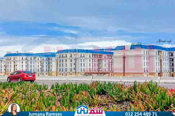 WhatsApp Image 2025-07-16 at 14.22.48_8906ea11