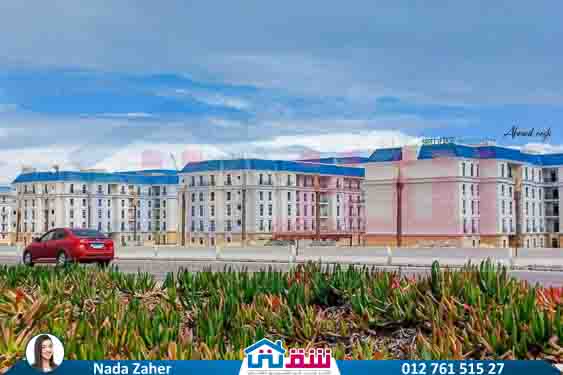 WhatsApp Image 2025-07-20 at 11.04.39 AM (1)