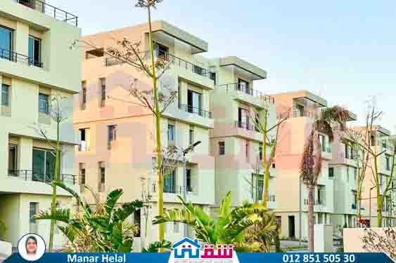 WhatsApp Image 2025-07-20 at 2.52.22 PM (3)