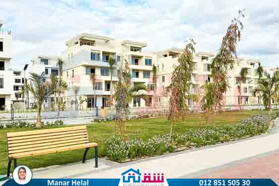 WhatsApp Image 2025-07-20 at 2.52.23 PM (3)