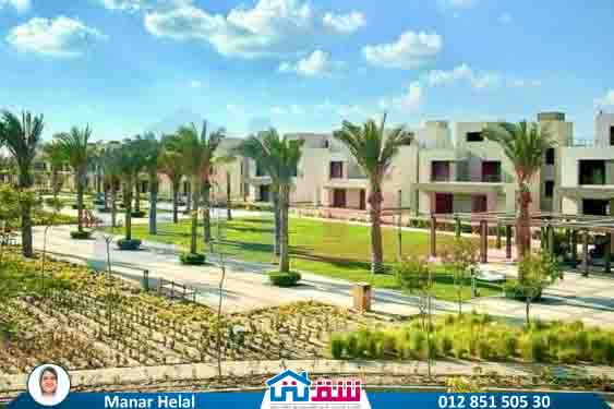 WhatsApp Image 2025-07-20 at 2.52.23 PM