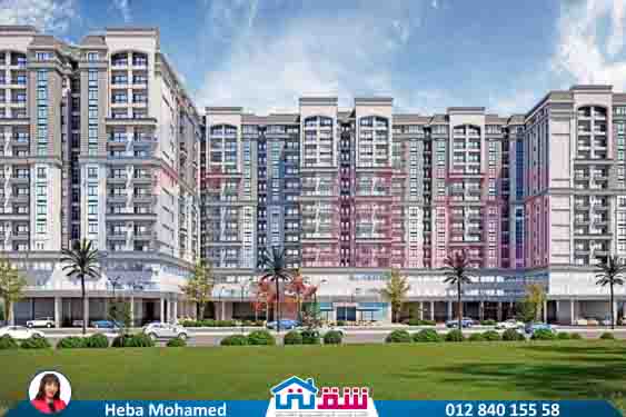 WhatsApp Image 2025-07-20 at 3.03.03 PM (2)