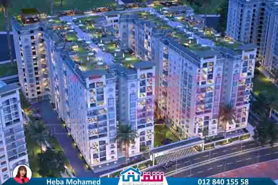 WhatsApp Image 2025-07-20 at 3.03.05 PM (2)