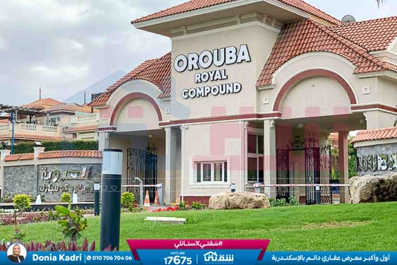 WhatsApp Image 2025-07-20 at 4.42.44 PM (1)