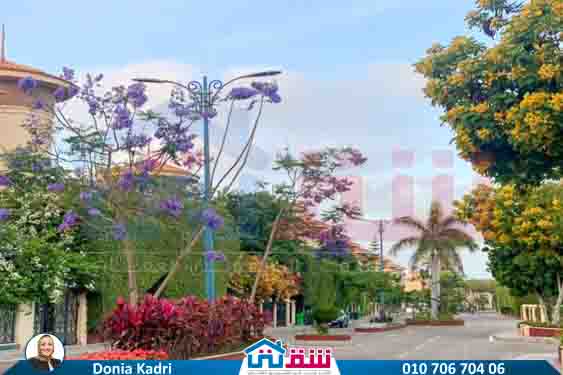 WhatsApp Image 2025-07-20 at 4.42.45 PM