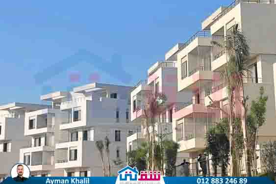 WhatsApp Image 2025-07-22 at 4.10.14 PM (1)