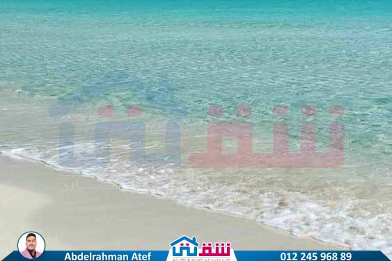 WhatsApp Image 2025-07-22 at 4.18.56 PM