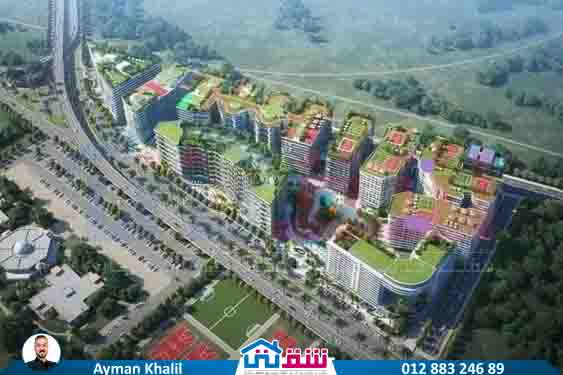 WhatsApp Image 2025-07-23 at 1.12.49 PM