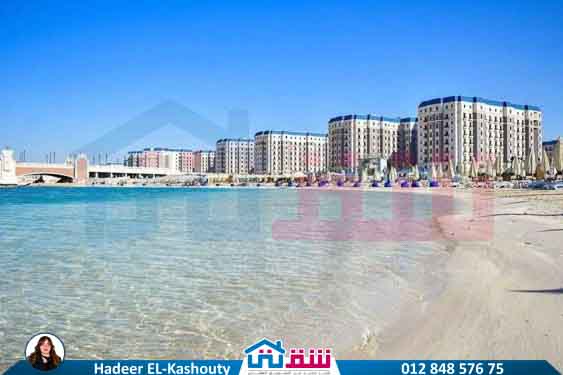 WhatsApp Image 2025-07-23 at 1.14.50 PM (3)