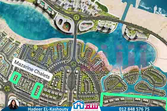 WhatsApp Image 2025-07-23 at 1.23.55 PM