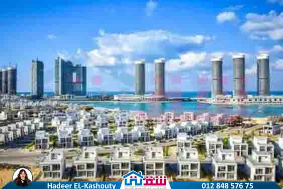 WhatsApp Image 2025-07-23 at 1.23.58 PM (1)