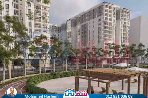 WhatsApp Image 2025-07-26 at 1.39.08 PM (1)