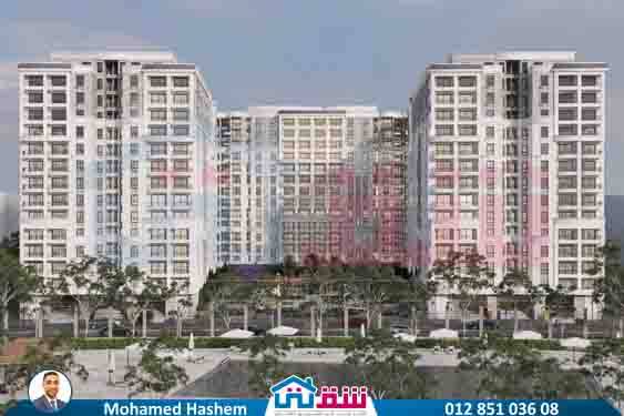 WhatsApp Image 2025-07-26 at 1.39.09 PM (1)