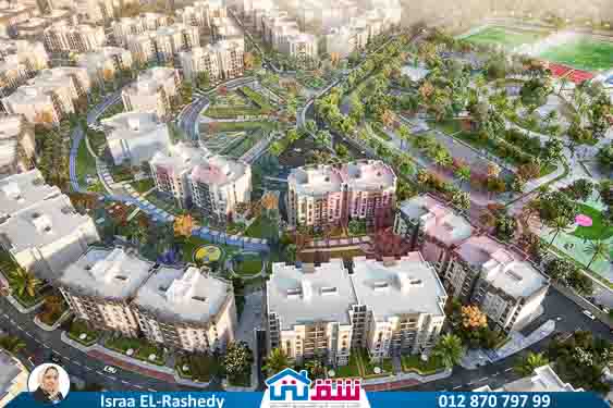 WhatsApp Image 2025-07-27 at 3.35.24 PM (18)