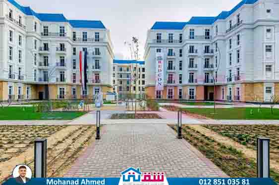 WhatsApp Image 2025-07-28 at 11.36.16 AM