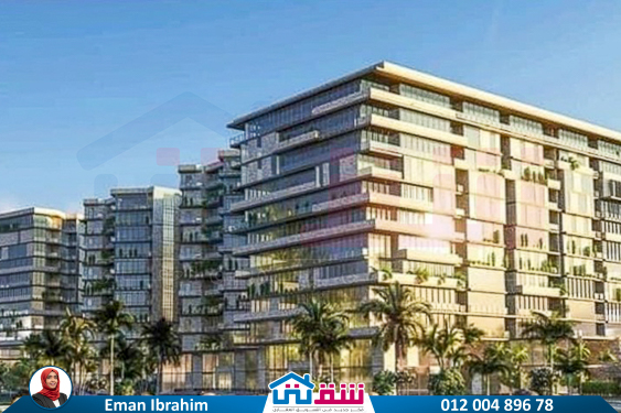 457143261_936641858497717_4190734054235641365_n