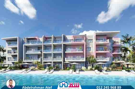 529394965_741966758675606_2083029498152391395_n