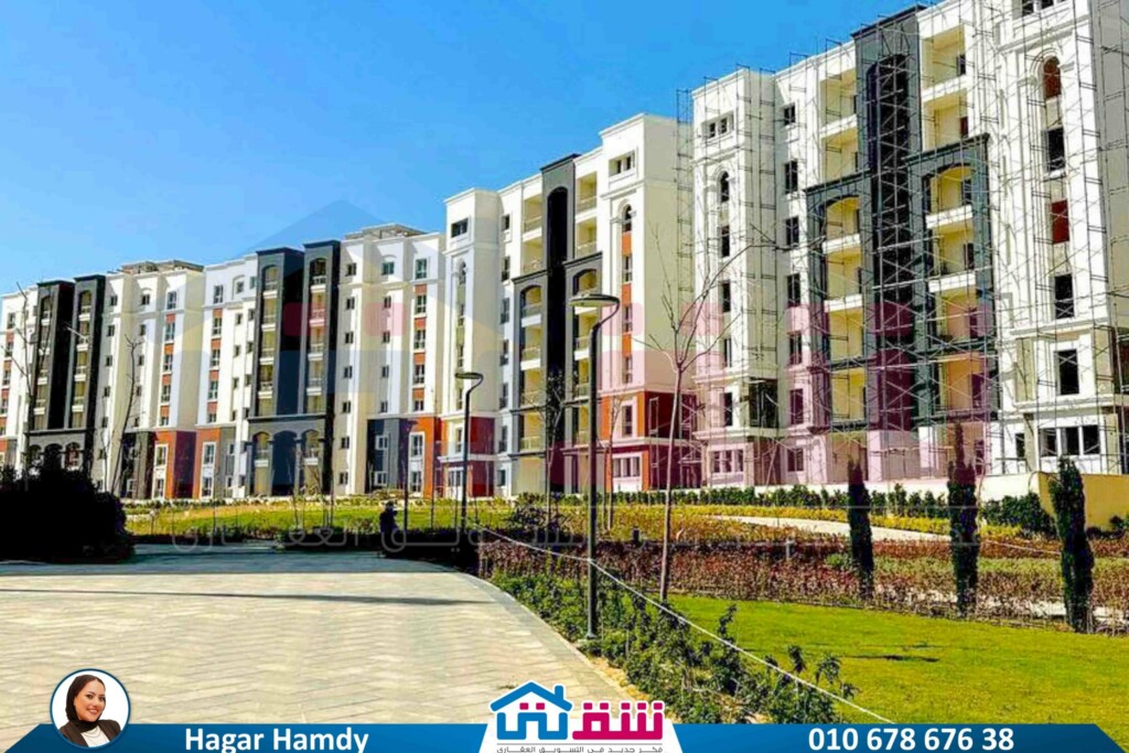 529692204_1213054187523148_821288417938008129_n