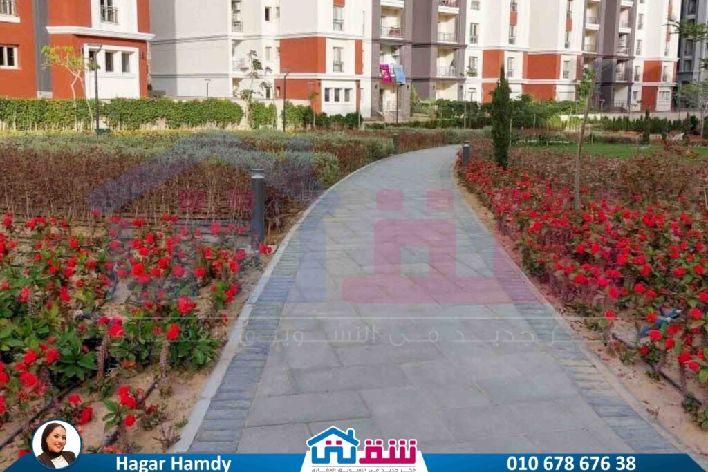 530201651_1213054087523158_2981892738701732637_n