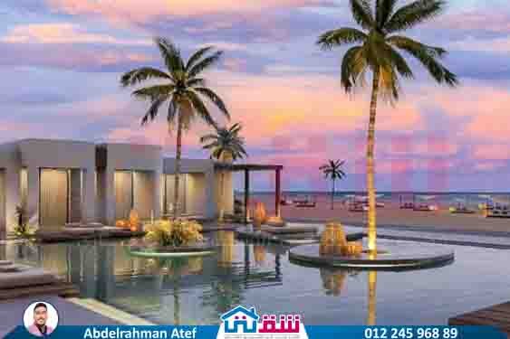 530253660_1095194372573159_3150940059131045391_n