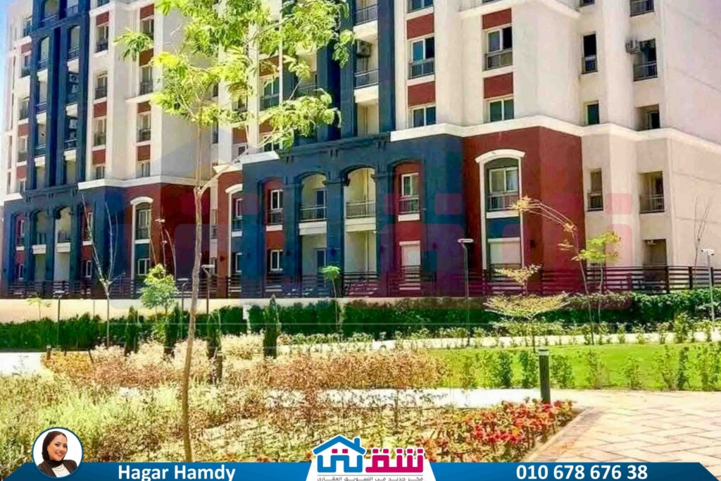 531551735_1213054184189815_4671623374584843049_n