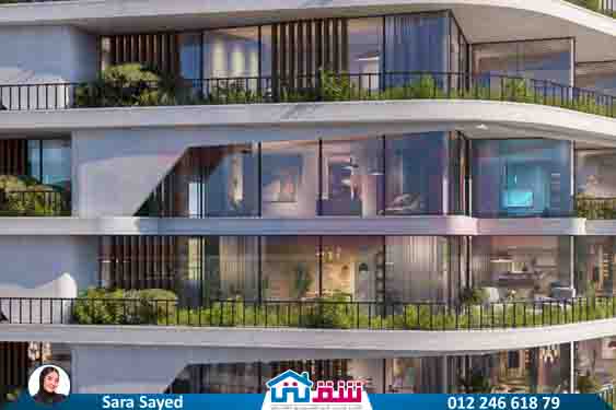 WhatsApp Image 2024-11-20 at 8.29.35 PM (2)