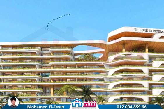 WhatsApp Image 2024-11-20 at 8.29.36 PM (2)