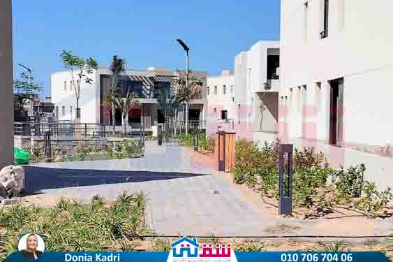 WhatsApp Image 2024-11-27 at 1.14.01 PM (1)