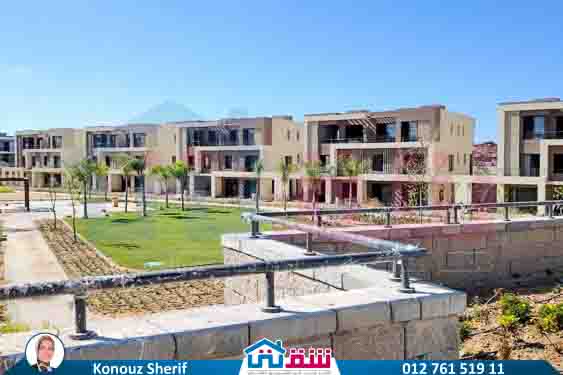 WhatsApp Image 2024-11-27 at 1.14.02 PM (1)