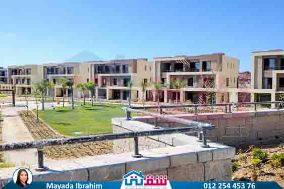 WhatsApp Image 2024-11-27 at 1.14.02 PM (1)